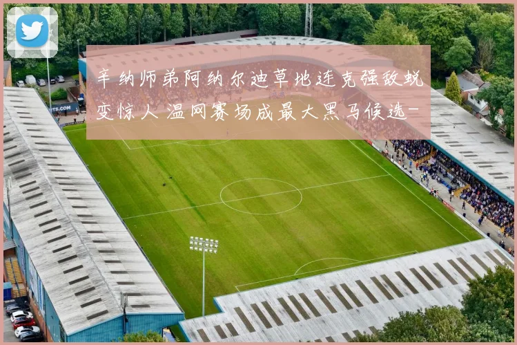 辛纳师弟阿纳尔迪草地连克强敌蜕变惊人 温网赛场成最大黑马候选