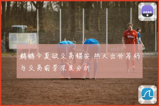 鹈鹕今夏欲交易锡安 热火出价筹码与交易前景深度分析