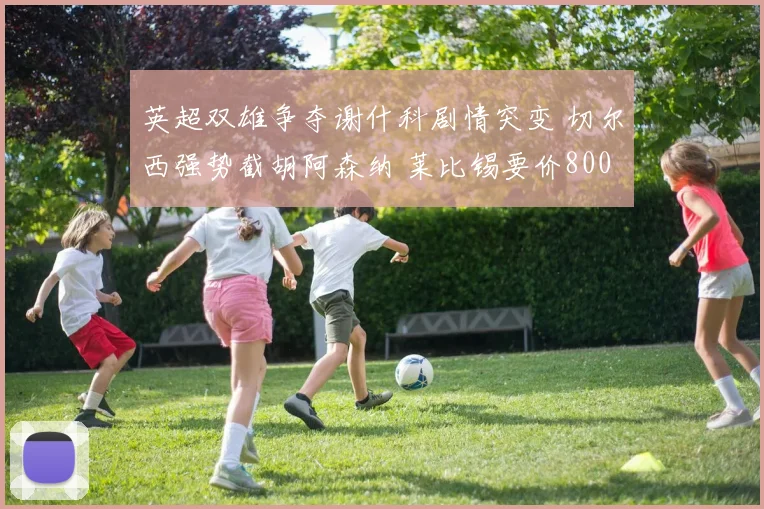 英超双雄争夺谢什科剧情突变 切尔西强势截胡阿森纳 莱比锡要价8000万欧引爆夏季转会窗